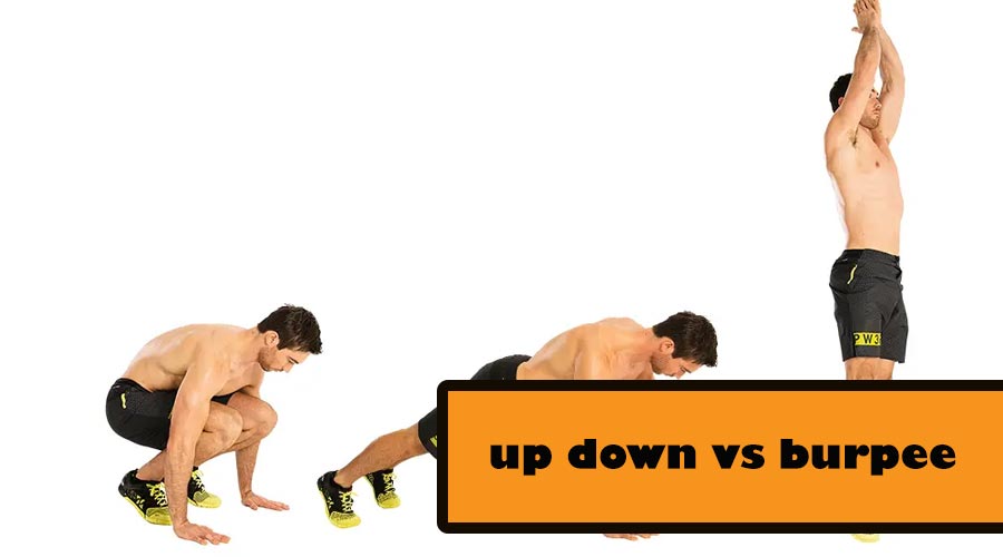 up down vs burpee